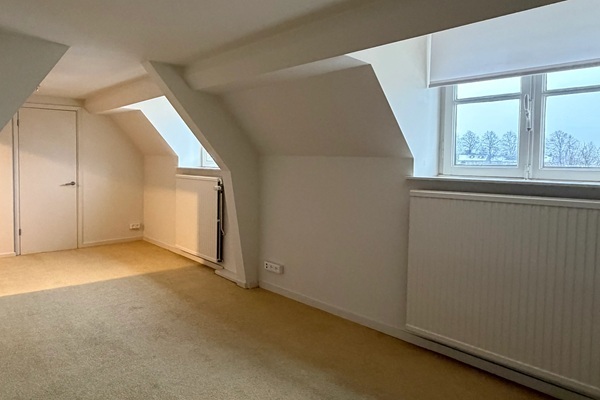 fp1.jpg