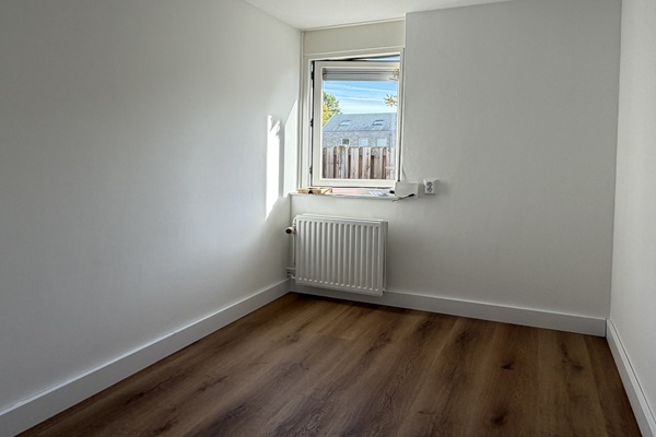 fp1.jpg