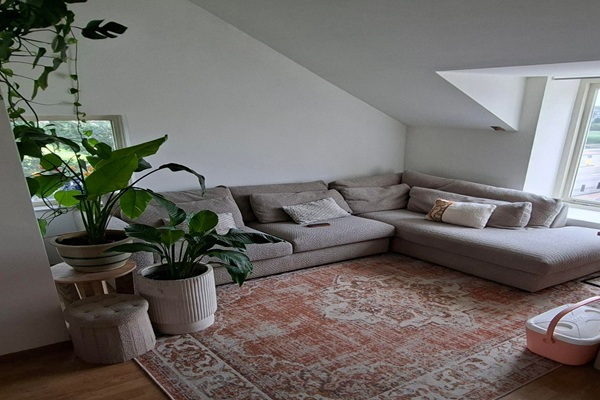 Palmboomstraat