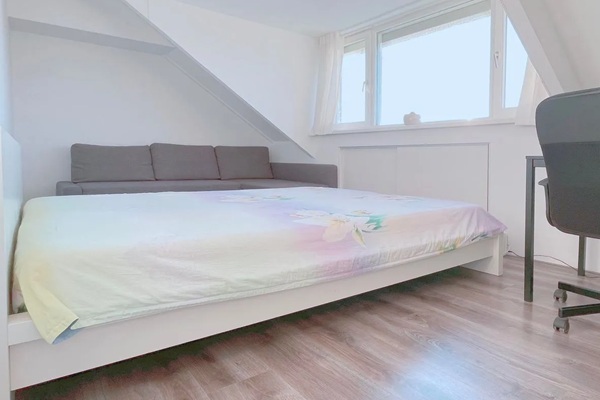 Huis Gelaarsde Kat in Eindhoven