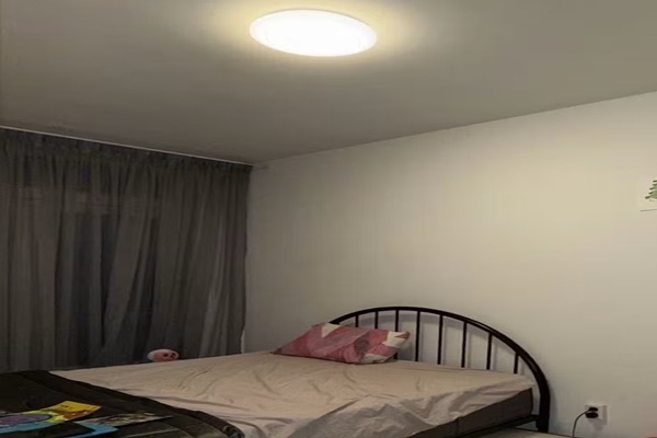 fp1.jpg