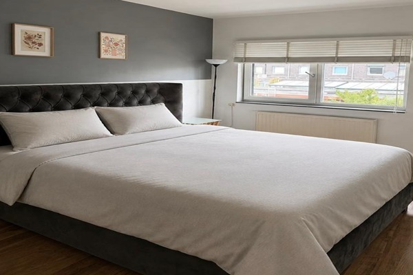 Huis Grasplant in Eindhoven