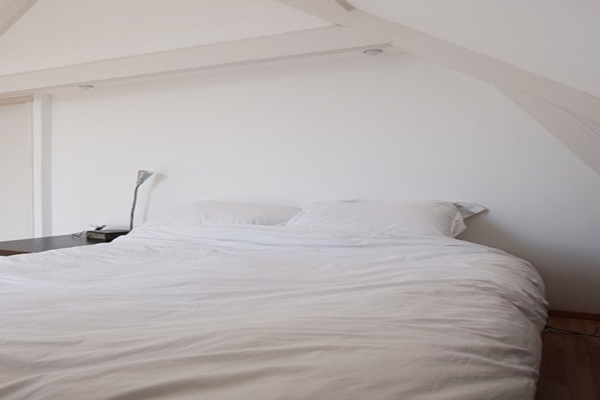 Appartement Noordsingel in Rotterdam